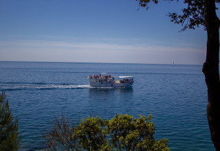 Båd med turister sejler på det blå hav nær Vrsar, Istrien, Kroatien, under en klar og solrig himmel.
