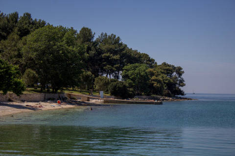 Kustlijn bij Koversada Camping Resort in Istrië, Kroatië, met bomen, strand en rustig zeewater.