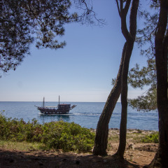 Vista del mar desde el Koversada Camping Resort en Istria, Croacia, con un barco visto entre pinos.