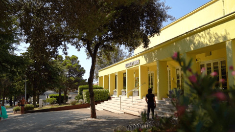 Entrada y recepción del camping Porto Sole en Istria, Croacia, resaltada por vegetación y luz solar.