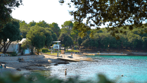Plage avec eau bleue claire et arbres au Camping Porto Sole, parc de vacances en Istrie, Croatie.