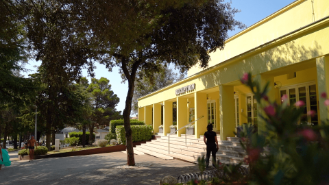 Recepción del Camping Porto Sole en Istria, Croacia, rodeada de árboles y ambiente soleado y agradable.