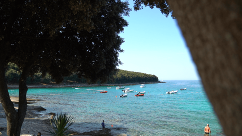 A view of the clear blue sea at Camping Porto Sole in Istria, Croatia, with boats and lush green trees.