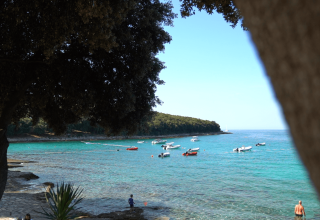 A view of the clear blue sea at Camping Porto Sole in Istria, Croatia, with boats and lush green trees.