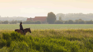 Persona montando a caballo entre campos verdes en Feather Down Hoeve Zeeland, un parque vacacional en Zeeland, Países Bajos.