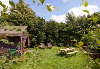 Camping vert avec tente, table de pique-nique et transats à Feather Down Hoeve Zeeland, Pays-Bas.