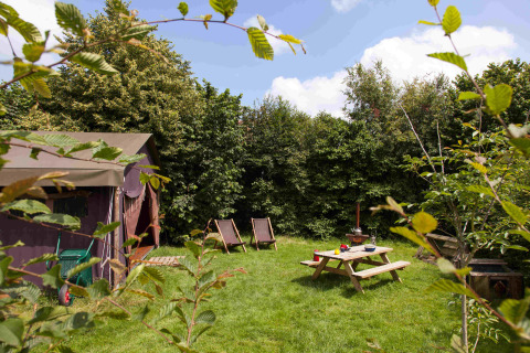 Green campsite with tent, picnic table, and deck chairs at Feather Down Hoeve Zeeland, Netherlands.