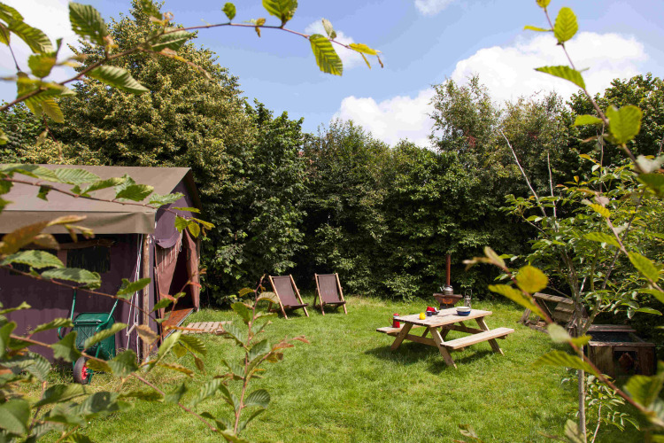 Green campsite with tent, picnic table, and deck chairs at Feather Down Hoeve Zeeland, Netherlands.