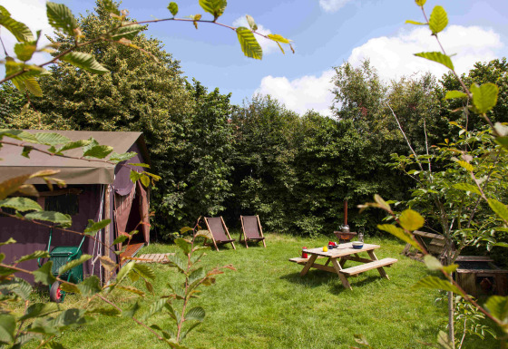 Camping vert avec tente, table de pique-nique et transats à Feather Down Hoeve Zeeland, Pays-Bas.