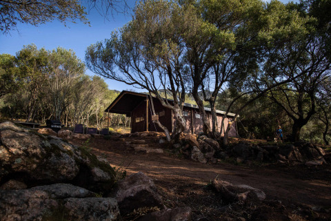Cabaña de madera entre árboles en Feather Down Figari Corsica, un parque vacacional en Córcega, Francia.