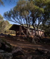 Cabaña de madera entre árboles en Feather Down Figari Corsica, un parque vacacional en Córcega, Francia.