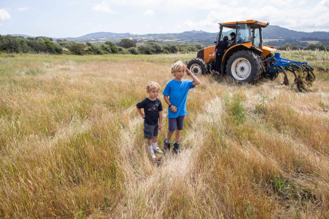 Zwei Jungen stehen auf einem Feld bei Figari, Korsika, mit einem Traktor und Bergen im Hintergrund.