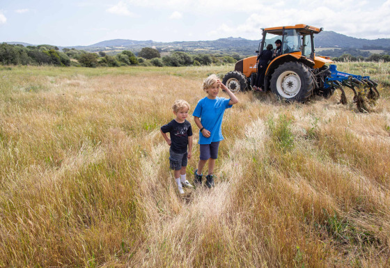 Zwei Jungen stehen auf einem Feld bei Figari, Korsika, mit einem Traktor und Bergen im Hintergrund.