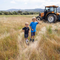 Dos niños en un campo cerca de Figari, Córcega, Francia, con un tractor y montañas al fondo.