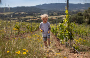 Un bambino cammina tra i filari di un vigneto con fiori selvatici a Feather Down Figari Corsica, Francia.