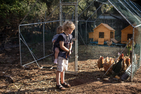 Un niño con un hermano menor en una mochila observa gallinas en un corral en Feather Down Figari, Córcega.