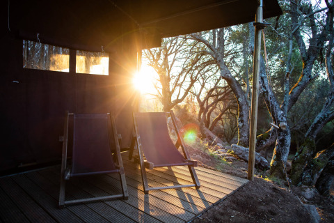 Deux transats sur une terrasse ensoleillée avec vue sur les arbres au Feather Down Figari Corse, France.