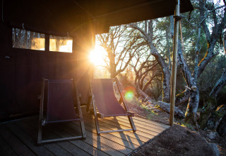 Twee ligzetels op een terras met zonlicht en bomen bij Feather Down Figari Corsica, Frankrijk.