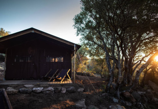 Sonnenaufgang hinter Bäumen und einer Holzhütte mit Liegestühlen im Feather Down Figari Korsika, Frankreich.