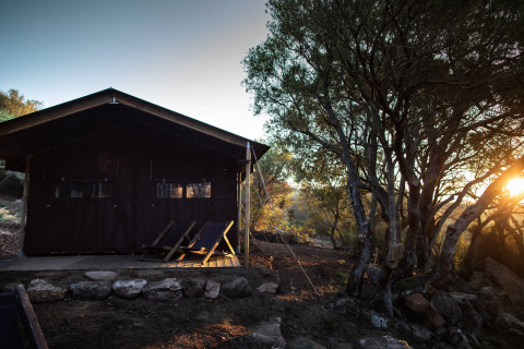 Zonsopgang achter bomen en een hut met ligzetels aan Feather Down Figari Corsica vakantiepark, Corsica, Frankrijk.