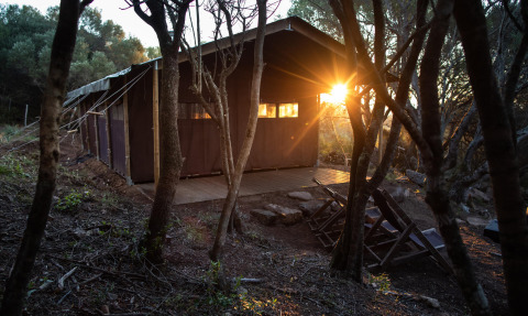 Zonsondergang door de bomen naast een tent bij Feather Down Figari Corsica, vakantiepark in Corsica, Frankrijk.