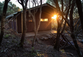 Solnedgang gennem træerne ved et telt i Feather Down Figari Corsica, en feriepark i Korsika, Frankrig.