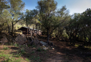 Hut verscholen tussen bomen en rotsen bij Feather Down Figari Corsica, vakantiepark op Corsica, Frankrijk.