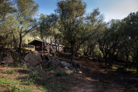 Cabaña entre árboles y rocas en Feather Down Figari Corsica, un parque vacacional en Córcega, Francia.