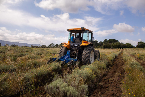 Tracteur labourant un champ sous un ciel nuageux au Feather Down Figari Corsica, parc de vacances en Corse, France.