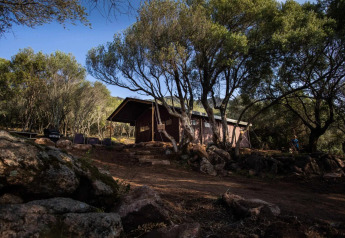 Tenda safari denominata Tent house con doccia privata a Feather Down Figari Corsica, immersa nella natura.