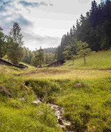 Paisaje rural cerca de Triberg, Alemania, con verdes prados, cabañas de madera, árboles y bosque al fondo.