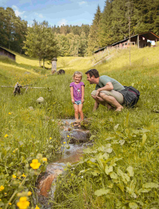 Padre e hija exploran un prado con flores silvestres y arroyo cerca de Triberg, Baden-Württemberg, Alemania.