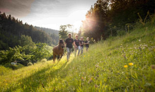 Familia con un pony paseando por una colina verde y soleada cerca de Triberg, Baden-Württemberg.