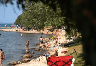 Mennesker nyder solen og bader ved Camping Polari i Istrien, Kroatien, omgivet af træer og stenstrand.