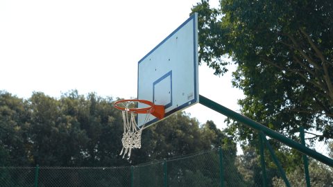 Canasta de baloncesto al aire libre en Camping Polari, un parque vacacional en Istria, Croacia, rodeado de árboles.