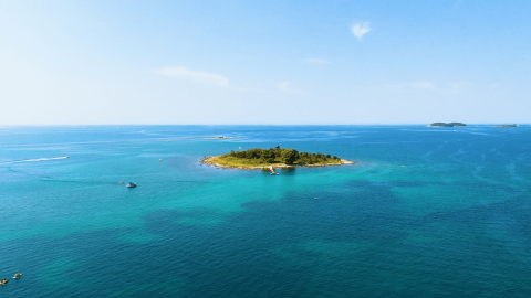 Vista aerea di una piccola isola verde circondata dal mare turchese vicino a Rovinj, Istria, Croazia.