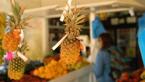 Ananas fresco appeso in una bancarella di frutta al Camping Polari, parco vacanze in Istria, Croazia.