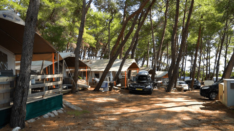Camping area in a shaded pine forest at Camping Krk, Croatia, featuring tents, parked cars, and holiday lodges.