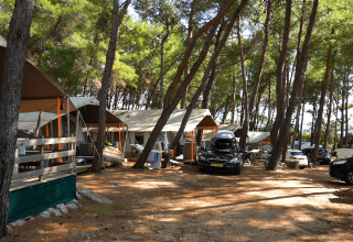 Camping area in a shaded pine forest at Camping Krk, Croatia, featuring tents, parked cars, and holiday lodges.