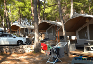 Tende e bungalow tra pini a Camping Krk, con auto parcheggiata e stendibiancheria in Croazia.