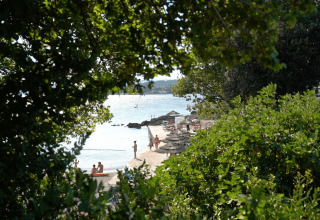 Udsigt gennem træer til stranden ved Camping Krk i Primorje-Gorski Kotar, Kroatien, med parasoller og badende.