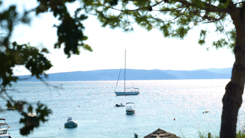 Barche a vela e motoscafi sul mare azzurro a Camping Krk, Primorje-Gorski Kotar, Croazia, tra alberi.