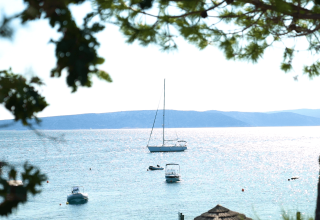 Barche a vela e motoscafi sul mare azzurro a Camping Krk, Primorje-Gorski Kotar, Croazia, tra alberi.