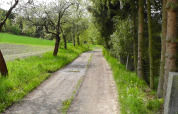 Landskabsfoto af en landevej omgivet af grønne marker og træer tæt ved Altenbeuthen i Thüringen, Tyskland.
