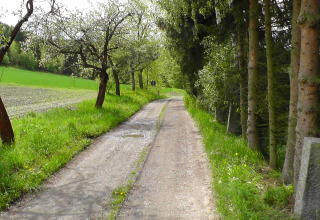 Landskabsfoto af en landevej omgivet af grønne marker og træer tæt ved Altenbeuthen i Thüringen, Tyskland.