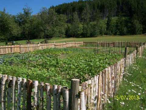 Potager clôturé près d'Altenbeuthen, Thuringe, entouré de prairies vertes et de collines boisées.