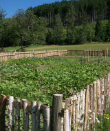 Huerto vallado cerca de Altenbeuthen, Turingia, rodeado de campos verdes y colinas boscosas en verano.