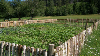 Huerto vallado cerca de Altenbeuthen, Turingia, rodeado de campos verdes y colinas boscosas en verano.