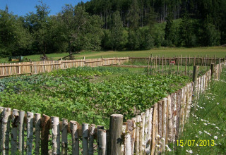 Afgebakende moestuin nabij Altenbeuthen, Thüringen, omringd door groene weiden en beboste heuvels.
