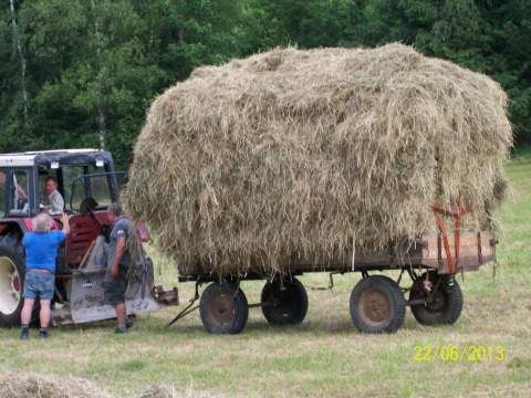 Tractor tirando de un gran carro de heno con tres personas trabajando en Feather Down Hohenwarter Seehof en Turingia.